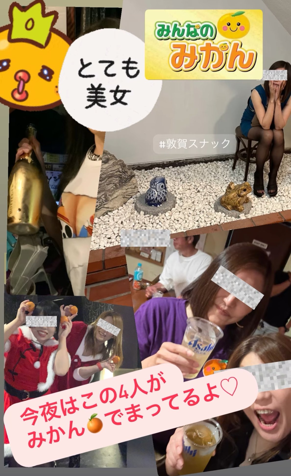 最新情報 - みんなのみかん