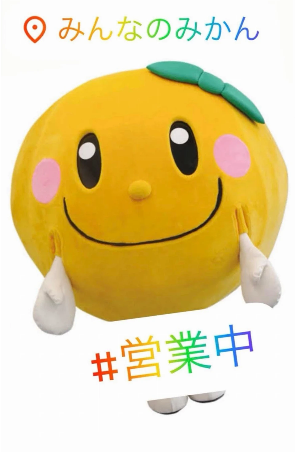 最新情報 - みんなのみかん